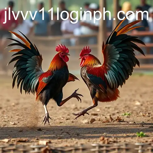 Exploring the World of Online Sabong: The Rising Trend in Digital Cockfighting
